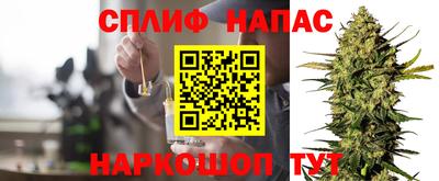 шишки Балашиха
