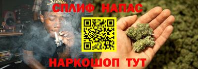 шишки Балашиха