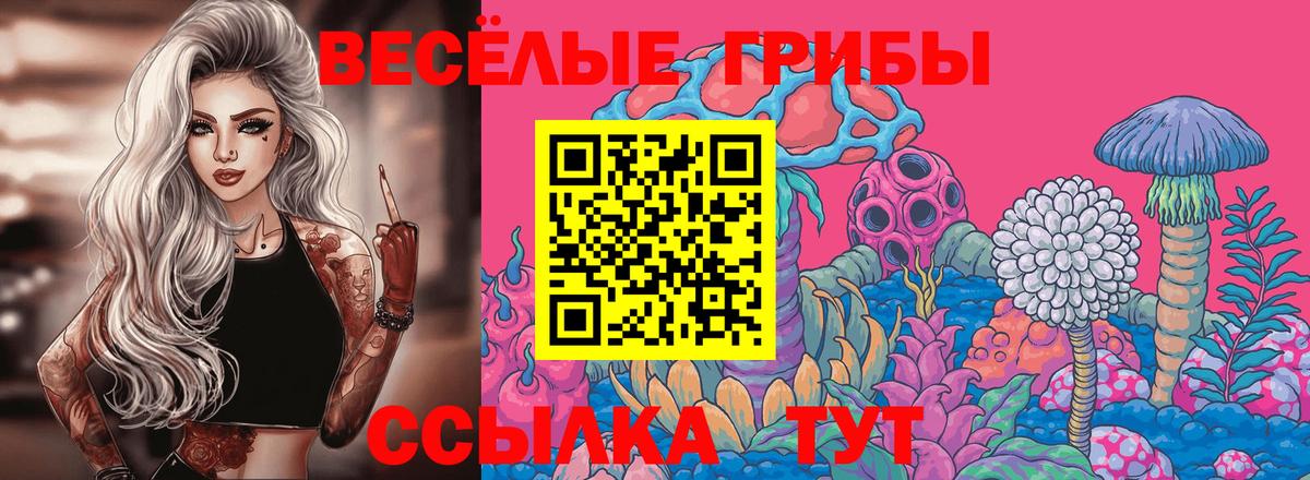 Горячий Ключ  Галлюциногенные грибы Psilocybine cubensis  Вход с VPN 