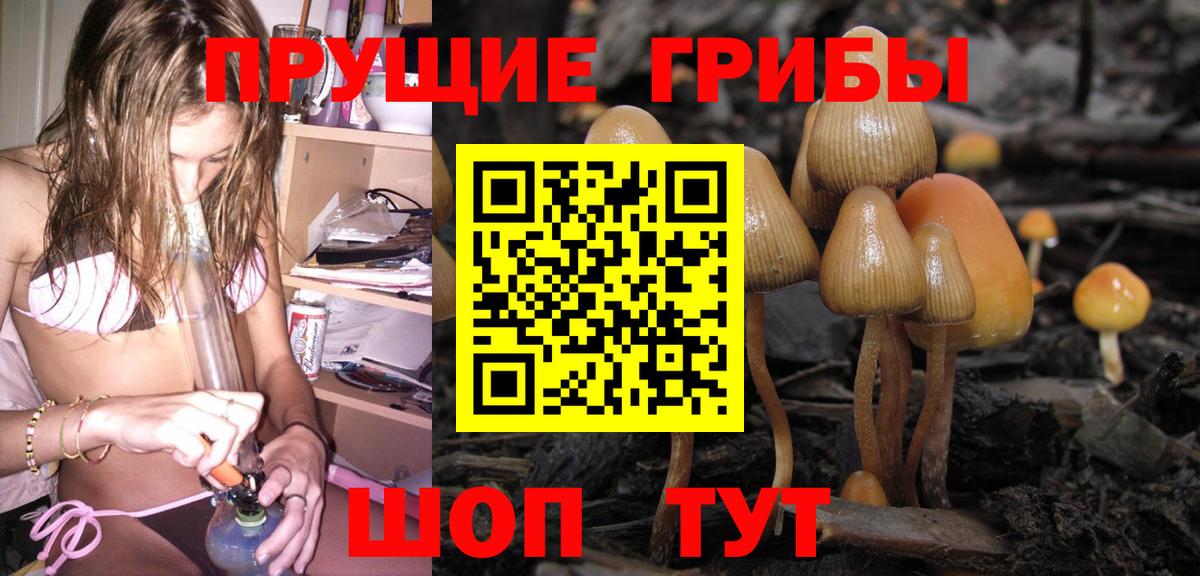 Псилоцибиновые грибы ЛСД Горячий Ключ